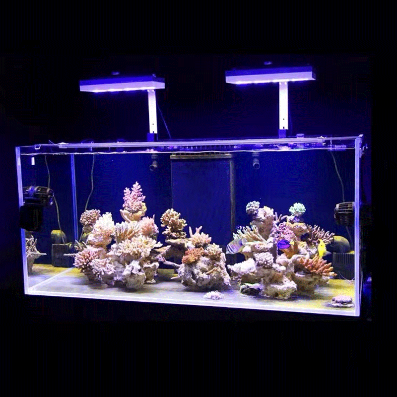 Aqua Illumination AI Hydra 32H - огляд і ціна Marine Aquarium Reef