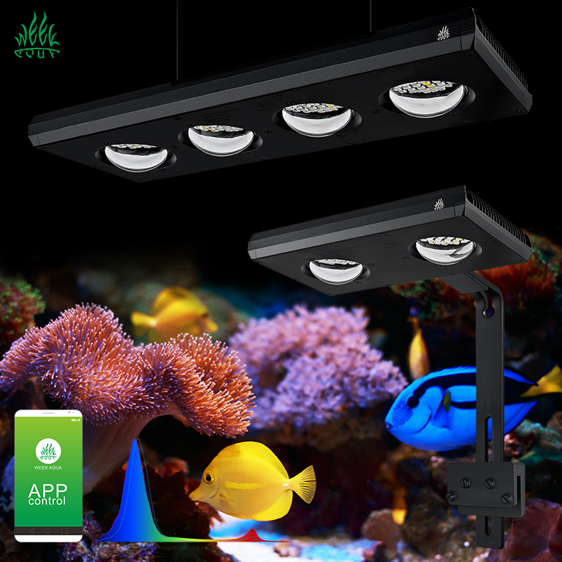 ZXY Hot Sale WEEKAQUA Z250 Z40 - огляд і ціна Marine Aquarium App