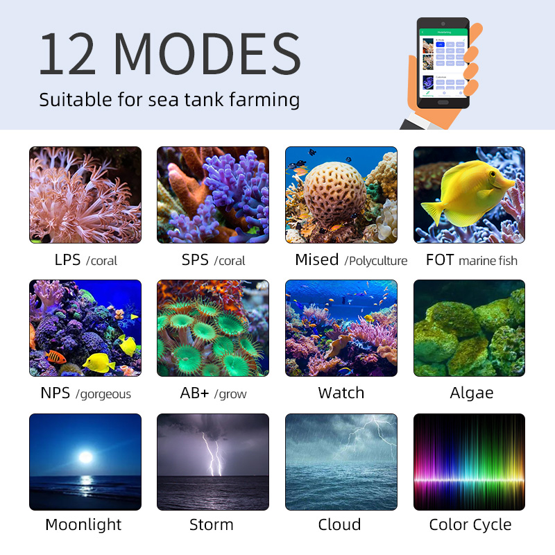 ZXY Hot Sale WEEKAQUA Z250 Z40 - огляд і ціна Marine Aquarium App