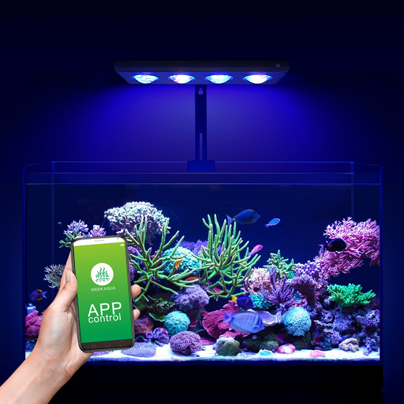 ZXY Hot Sale WEEKAQUA Z250 Z40 - огляд і ціна Marine Aquarium App