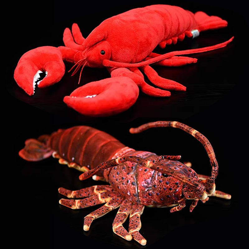Simulated Animal Australia Spi - огляд і ціна Aquarium Marine Park