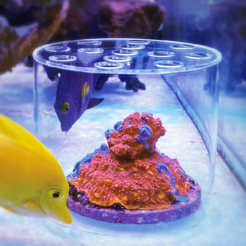 Vastocean Aquarium Arcylic Cor - огляд і ціна Marine Aquarium Reef