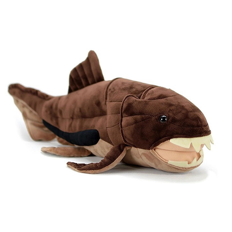 Dunkleosteus terrelli Dunkle F - огляд і ціна Aquarium Marine Park