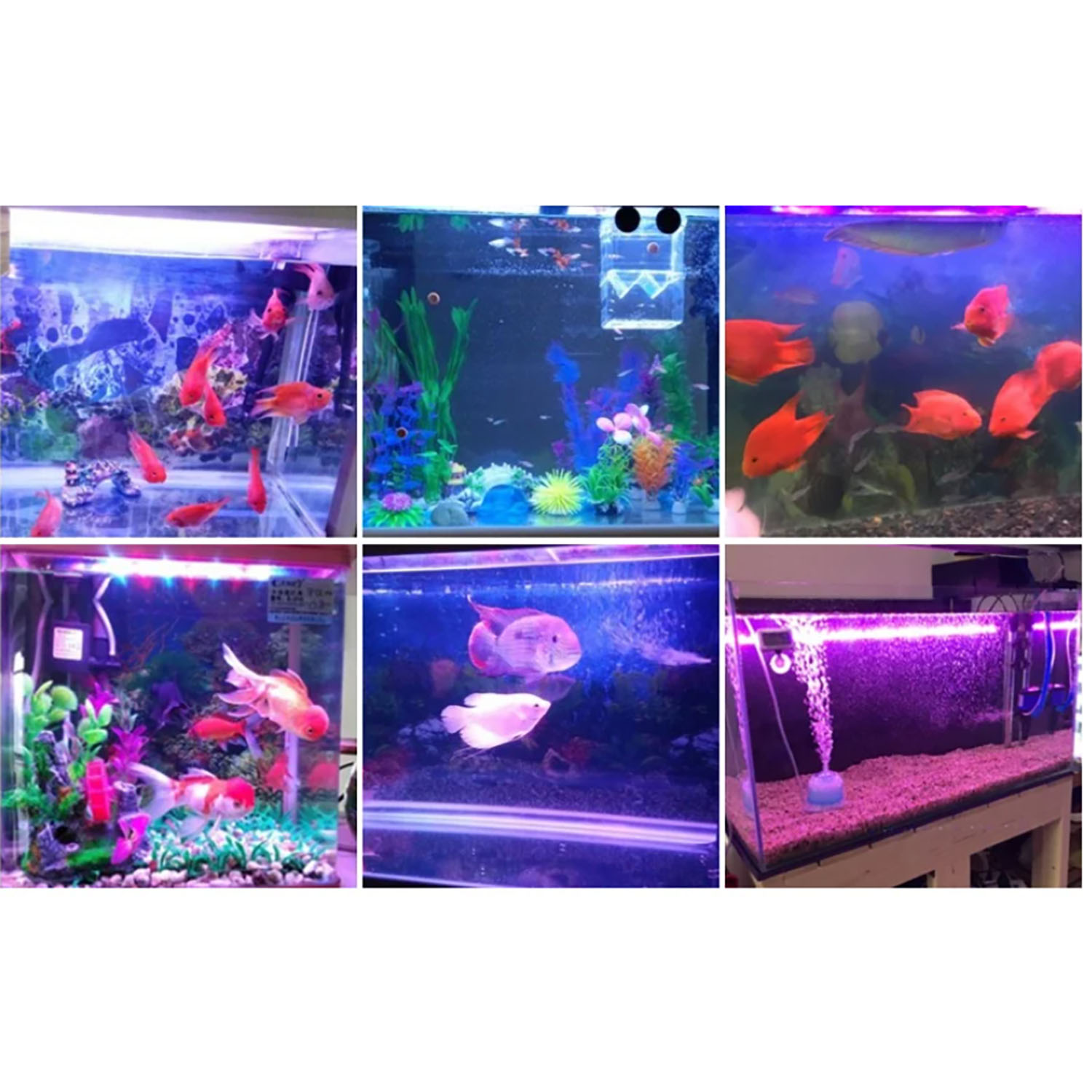 50W 60W 70W 100W RGB 26-28V Hi - огляд і ціна Marine Aquarium Uv Light