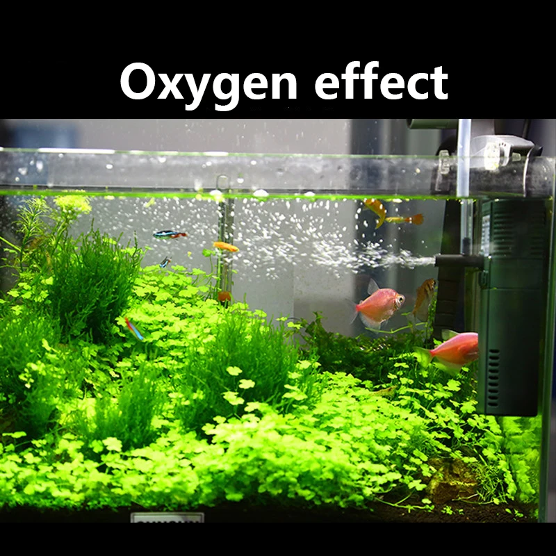 SUNSUN mini nano 111B 311B 611 - огляд і ціна Marine Aquarium Uv Light
